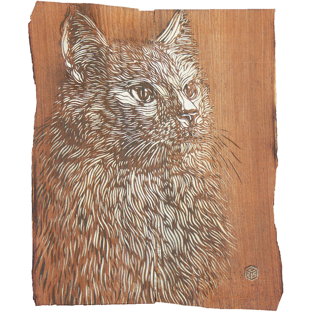 C215 Street Art Peinture Galerie Perahia